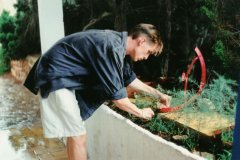 1995formens002_jpg