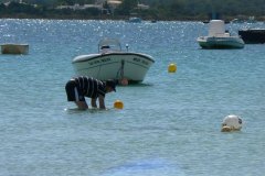 buoy001.jpg